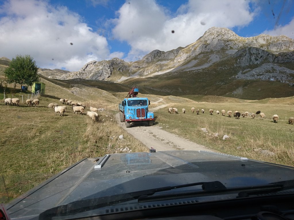 20191009_150913_bernhard.jpg