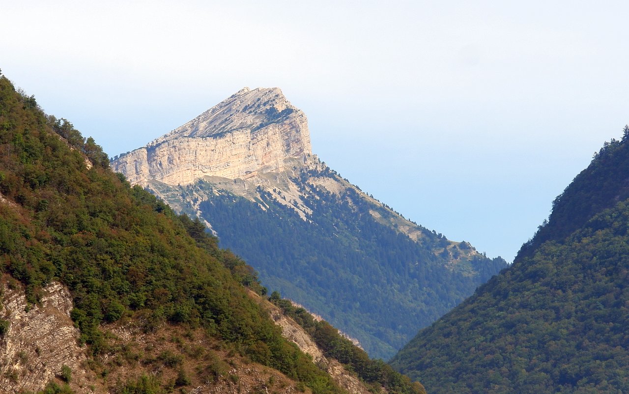 DSCF2980.jpg