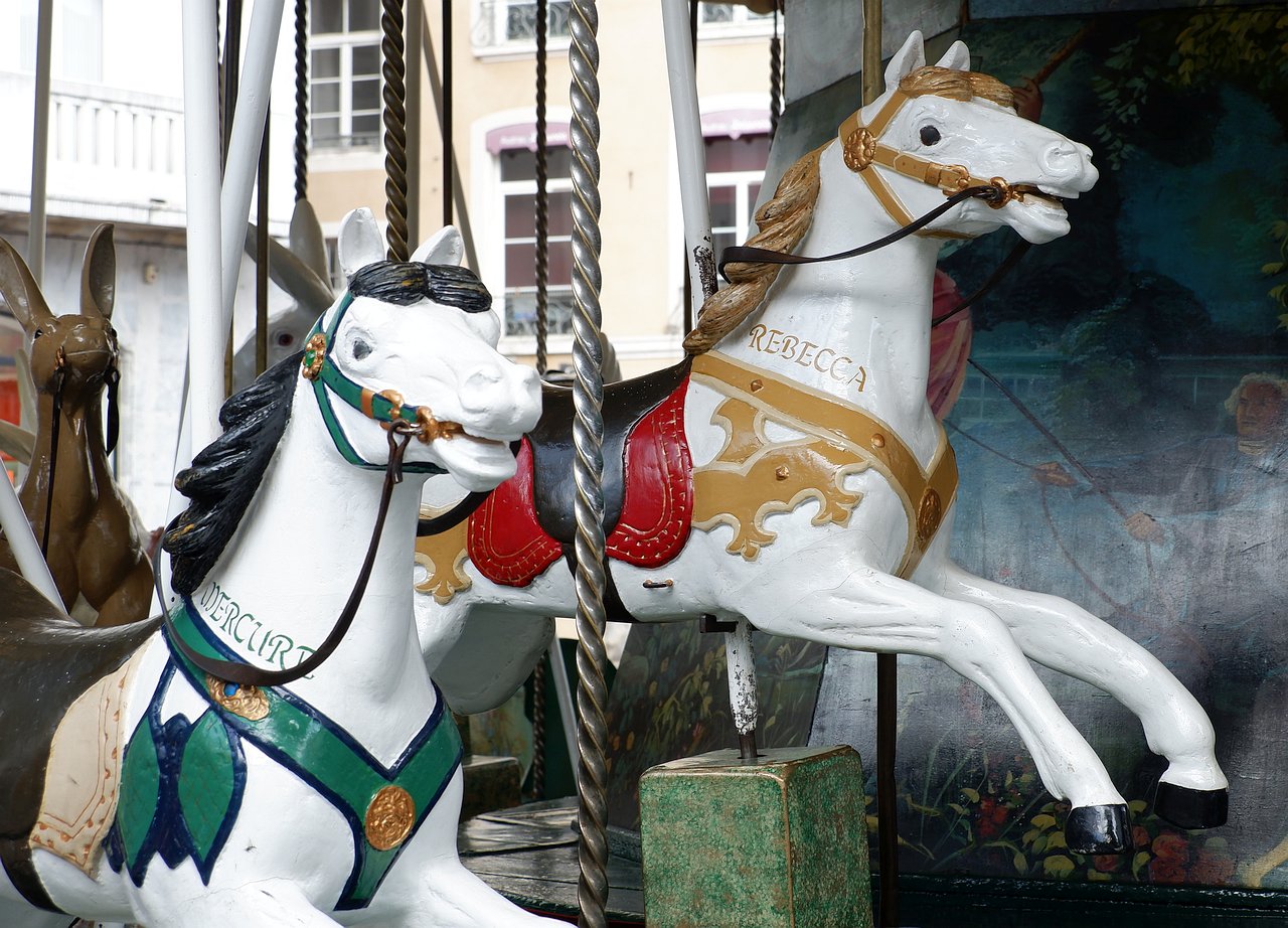 DSCF2991.jpg