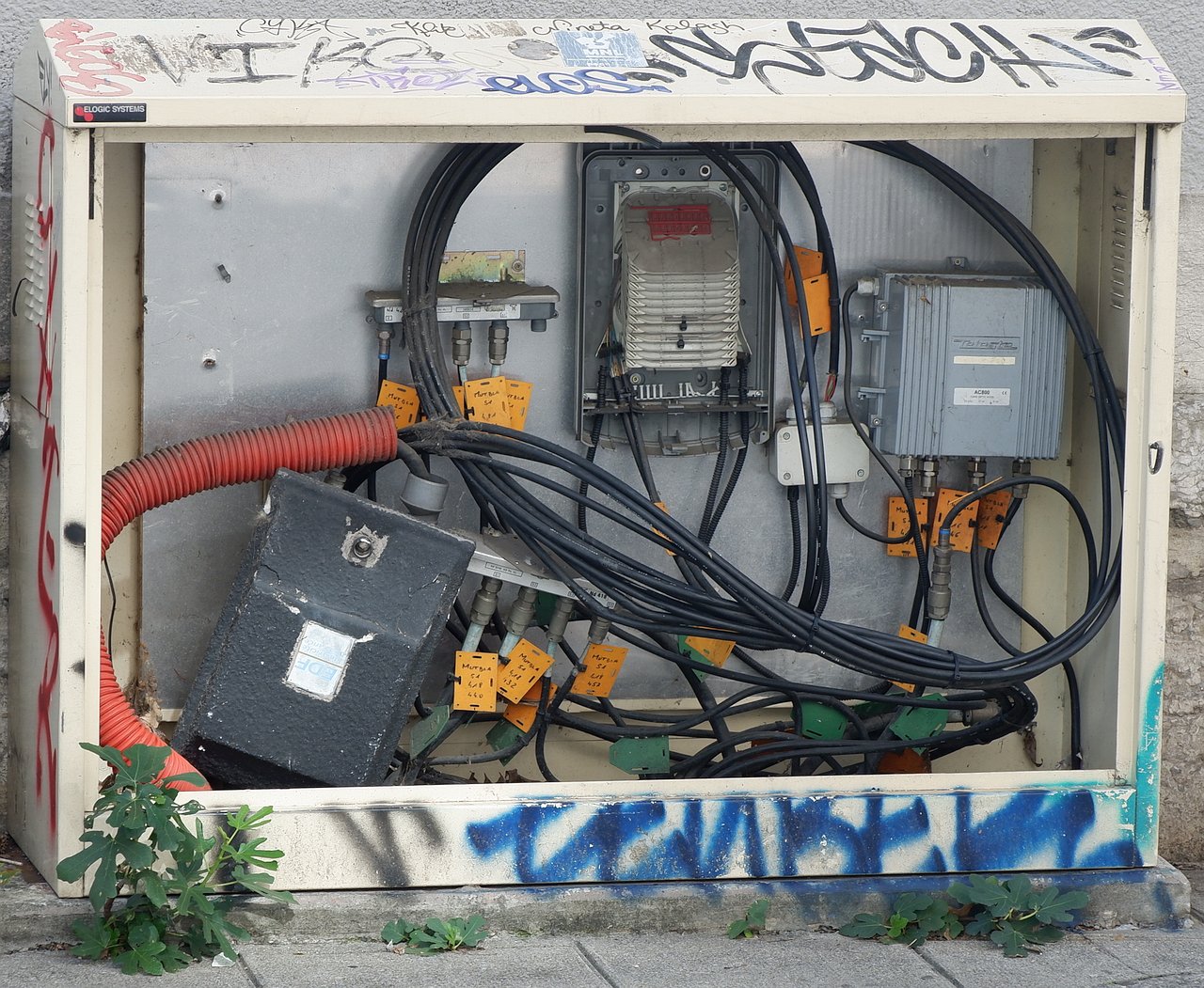 DSCF2993.jpg