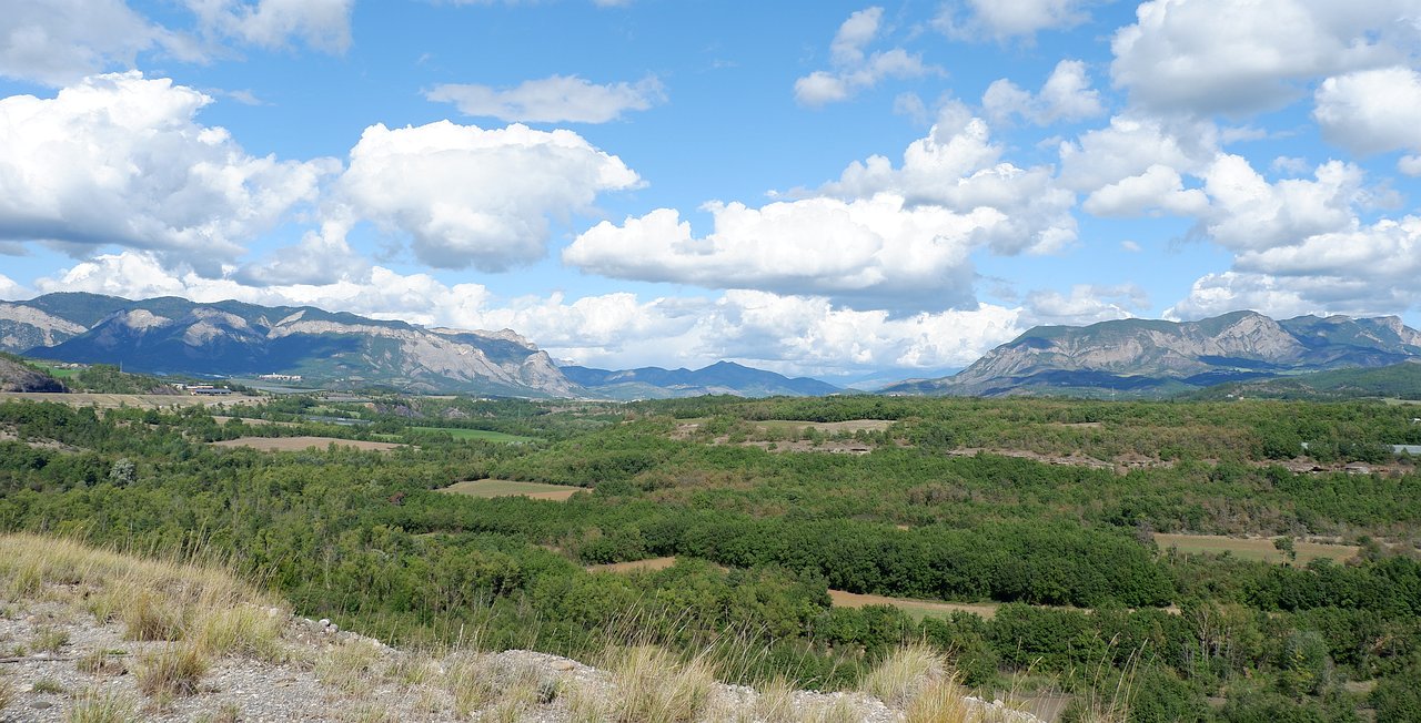 DSCF3060.jpg
