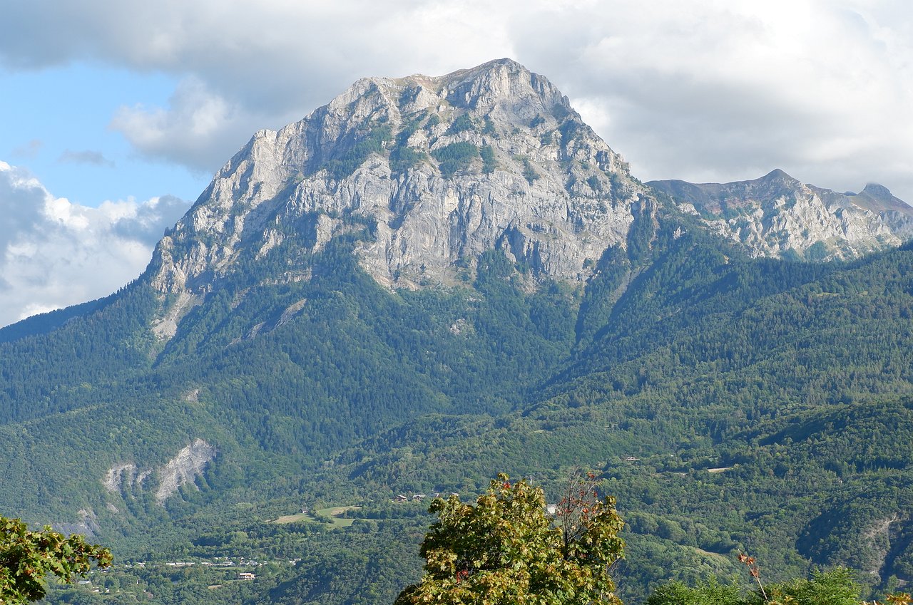 DSCF3070.jpg