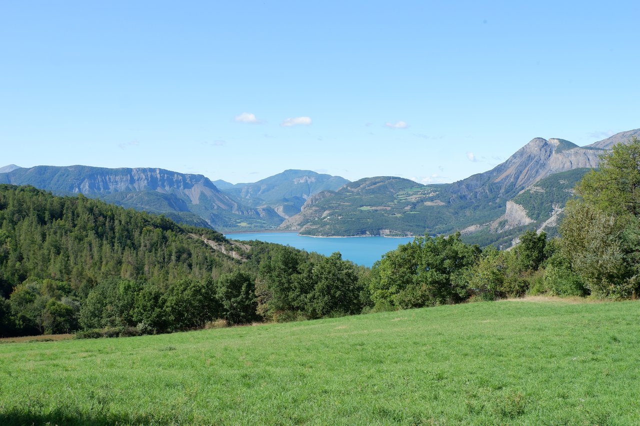 DSCF3080.jpg