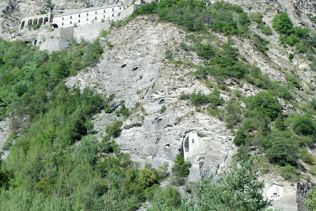 DSCF3105.jpg