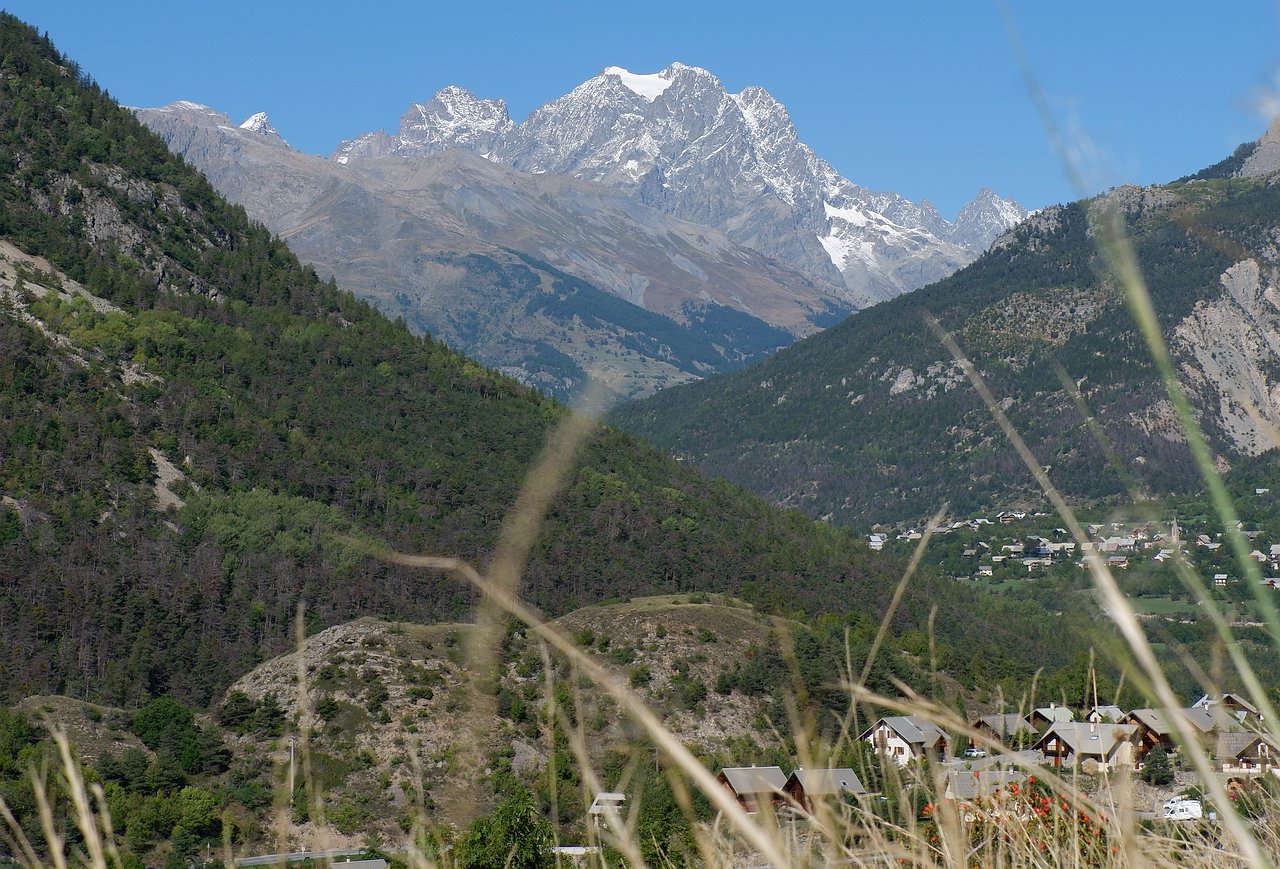 DSCF3138.jpg