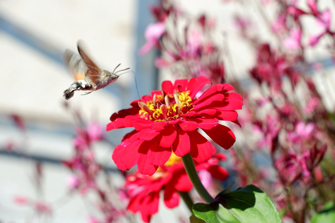 DSCF3173.jpg