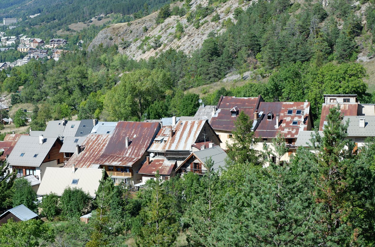 DSCF3177.jpg