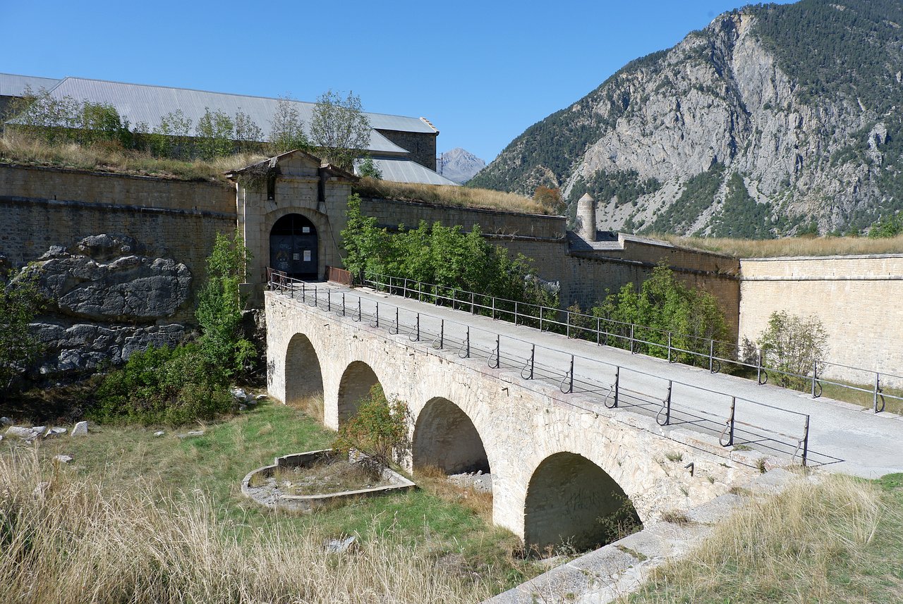 DSCF3181.jpg