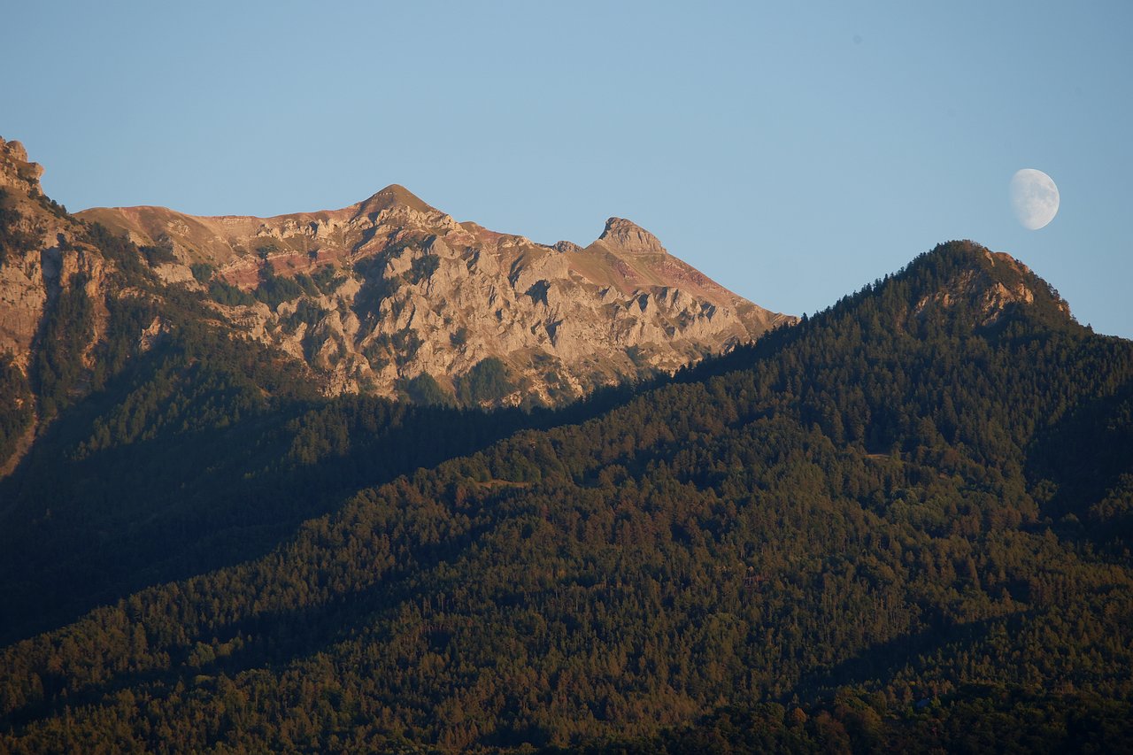 DSCF3193.jpg