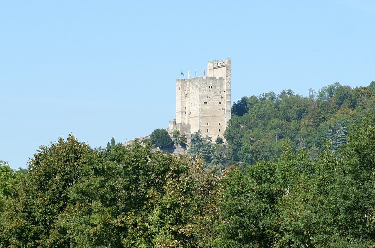DSCF3237.jpg