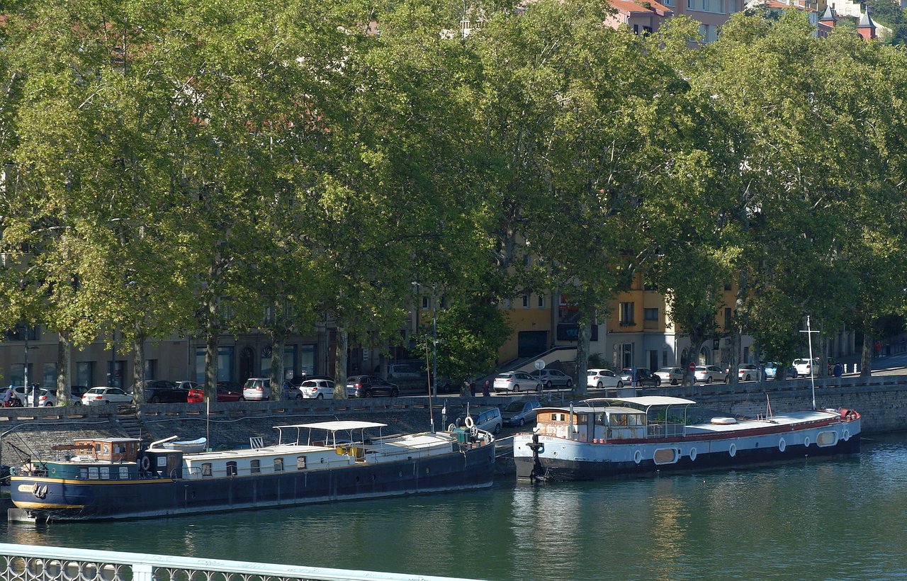 DSCF3256.jpg