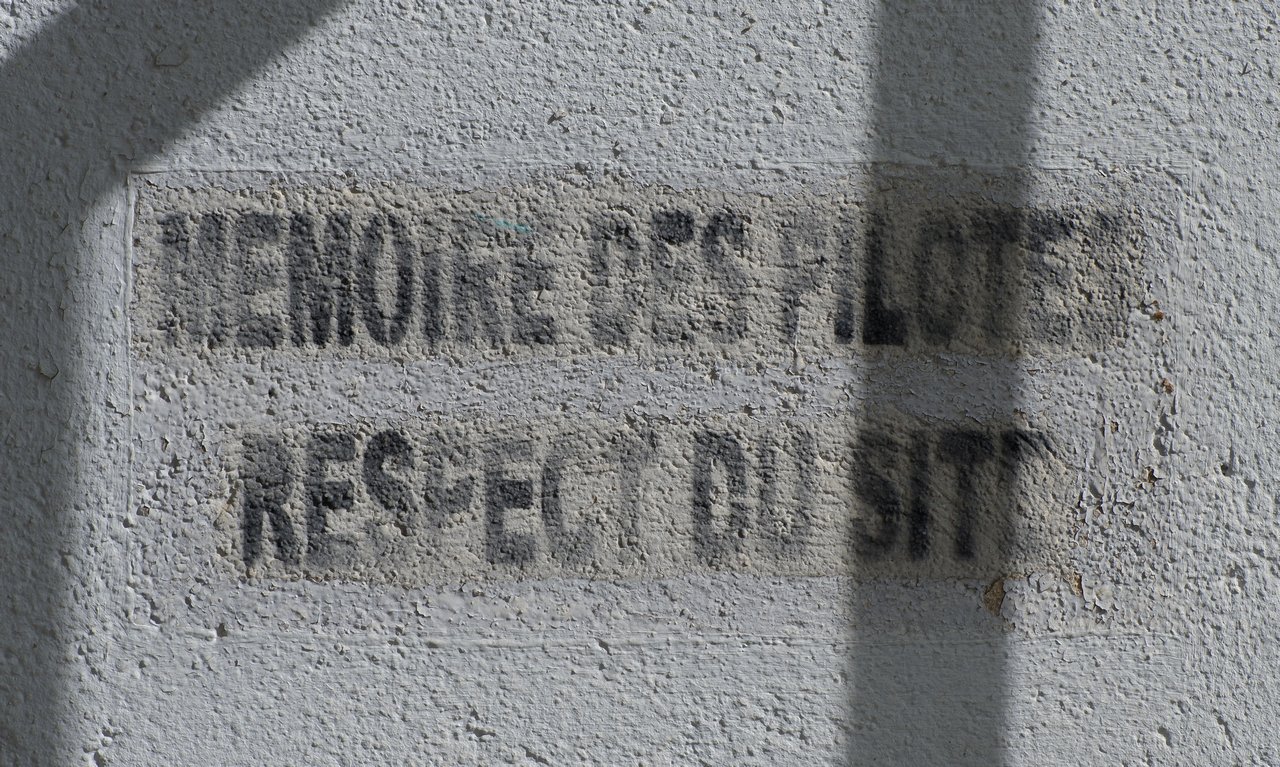 DSCF3345.jpg