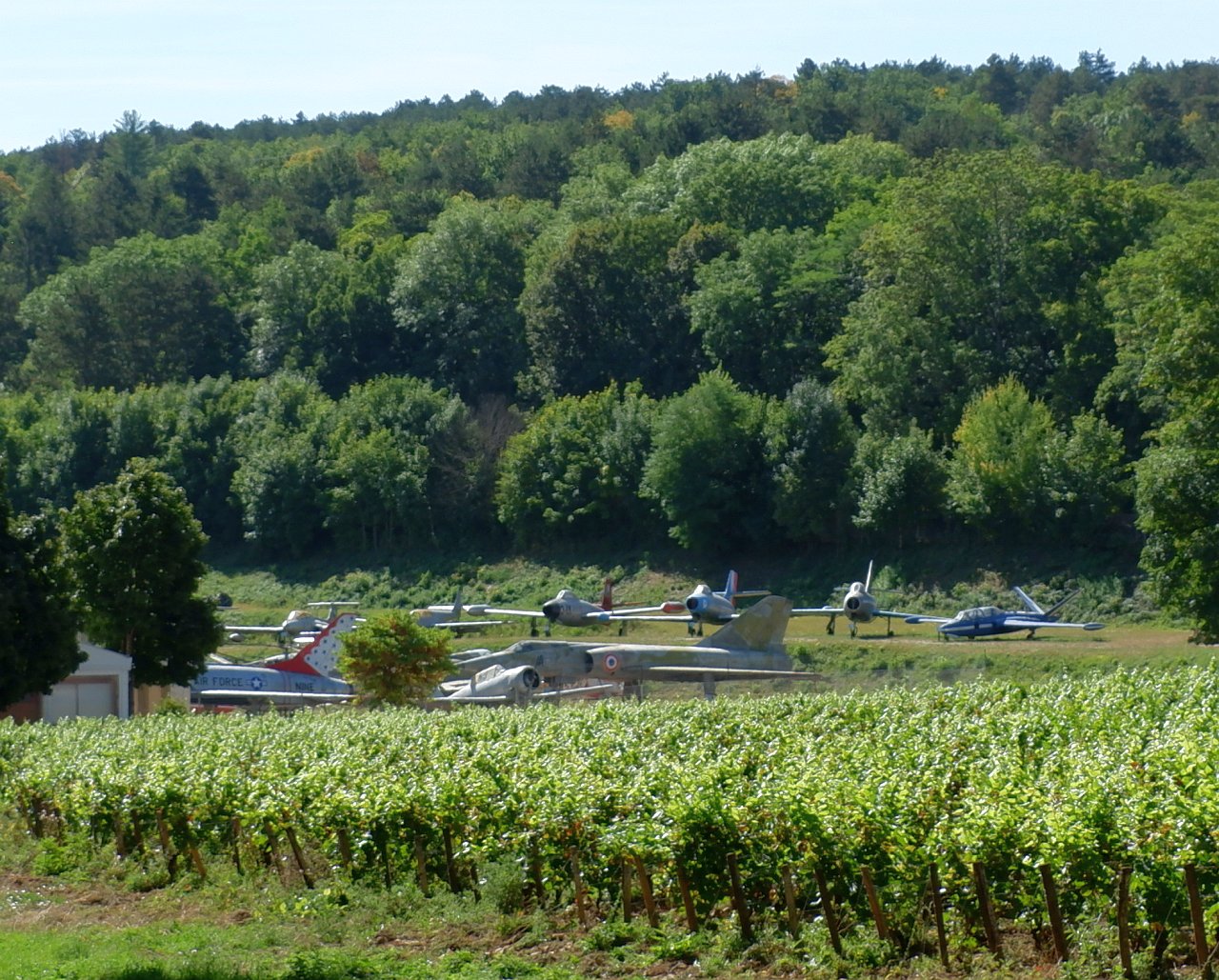 DSCF0880.jpg