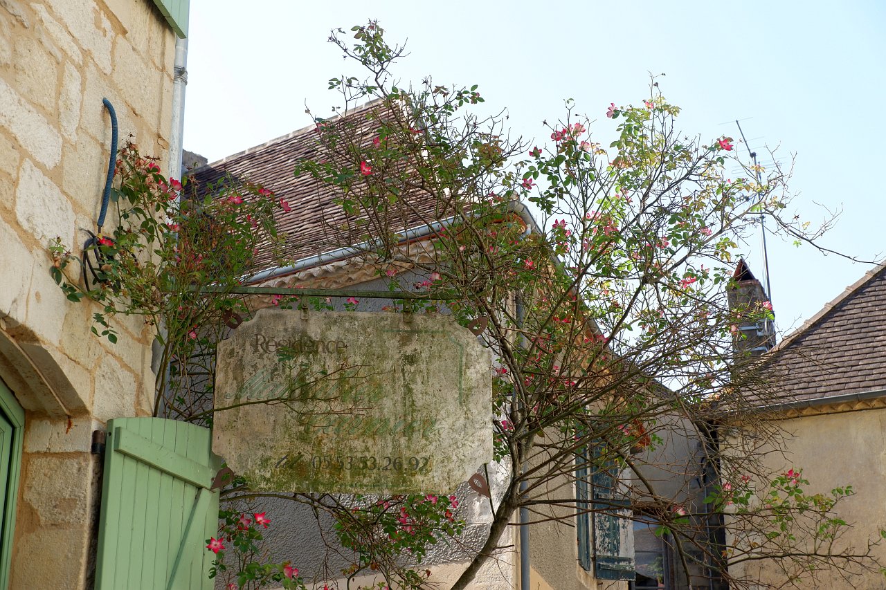 DSCF0971.jpg