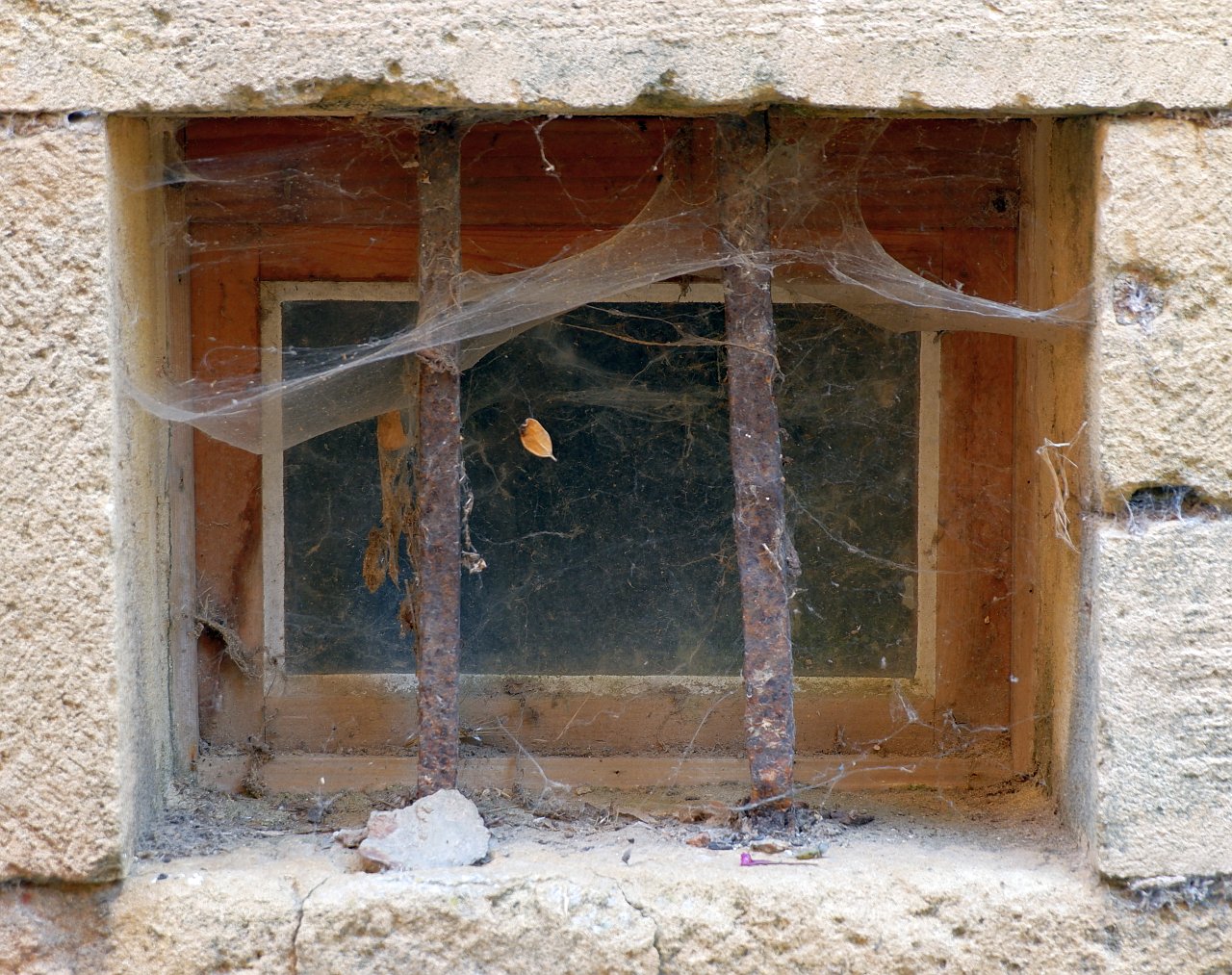 DSCF0992.jpg