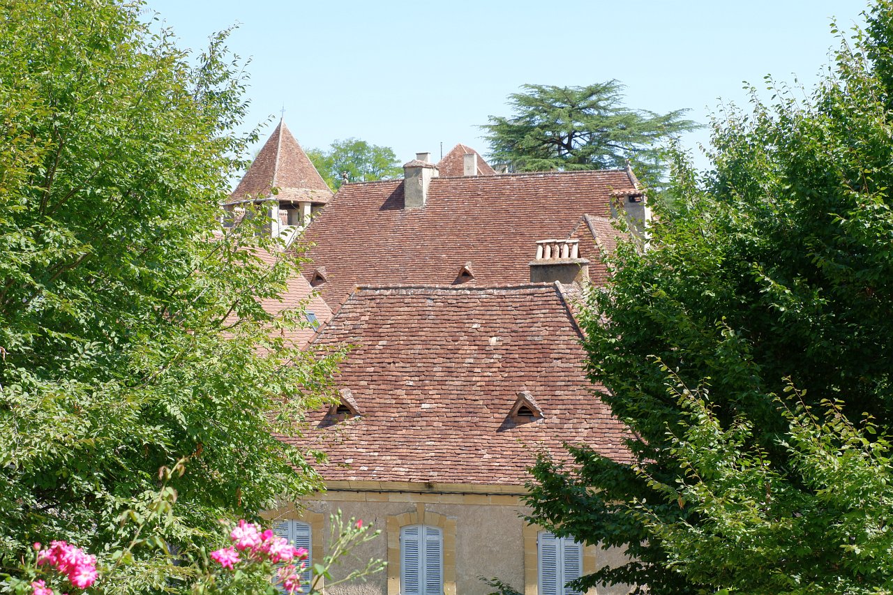 DSCF1004.jpg
