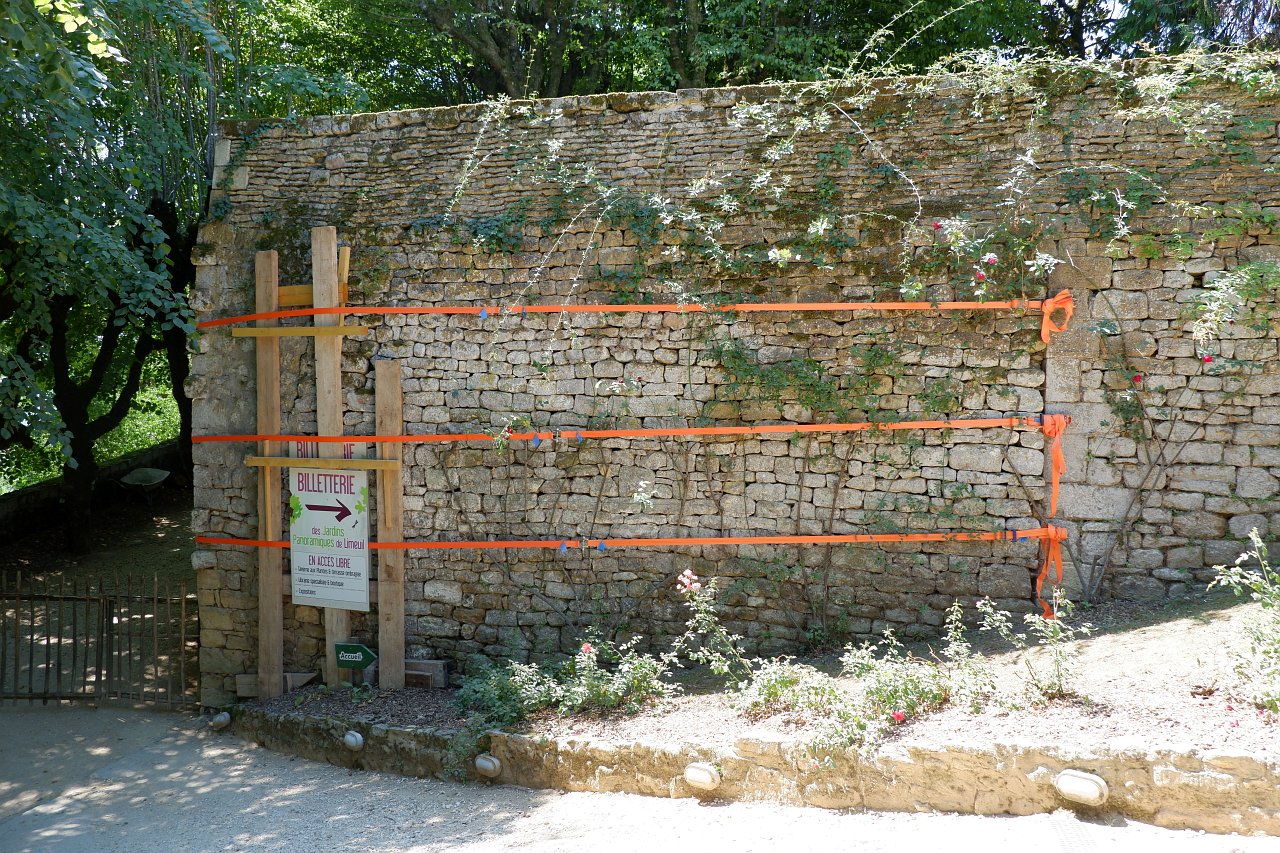 DSCF1005.jpg