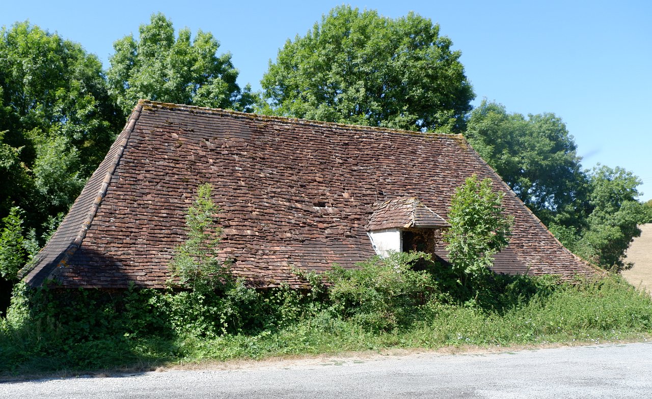 DSCF1039.jpg