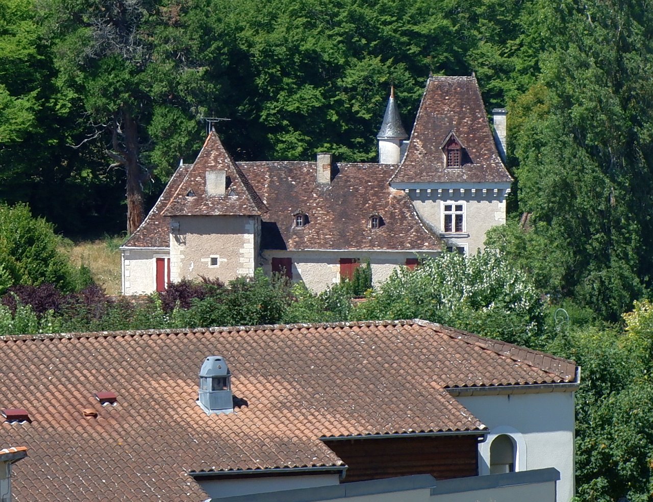 DSCF1041.jpg