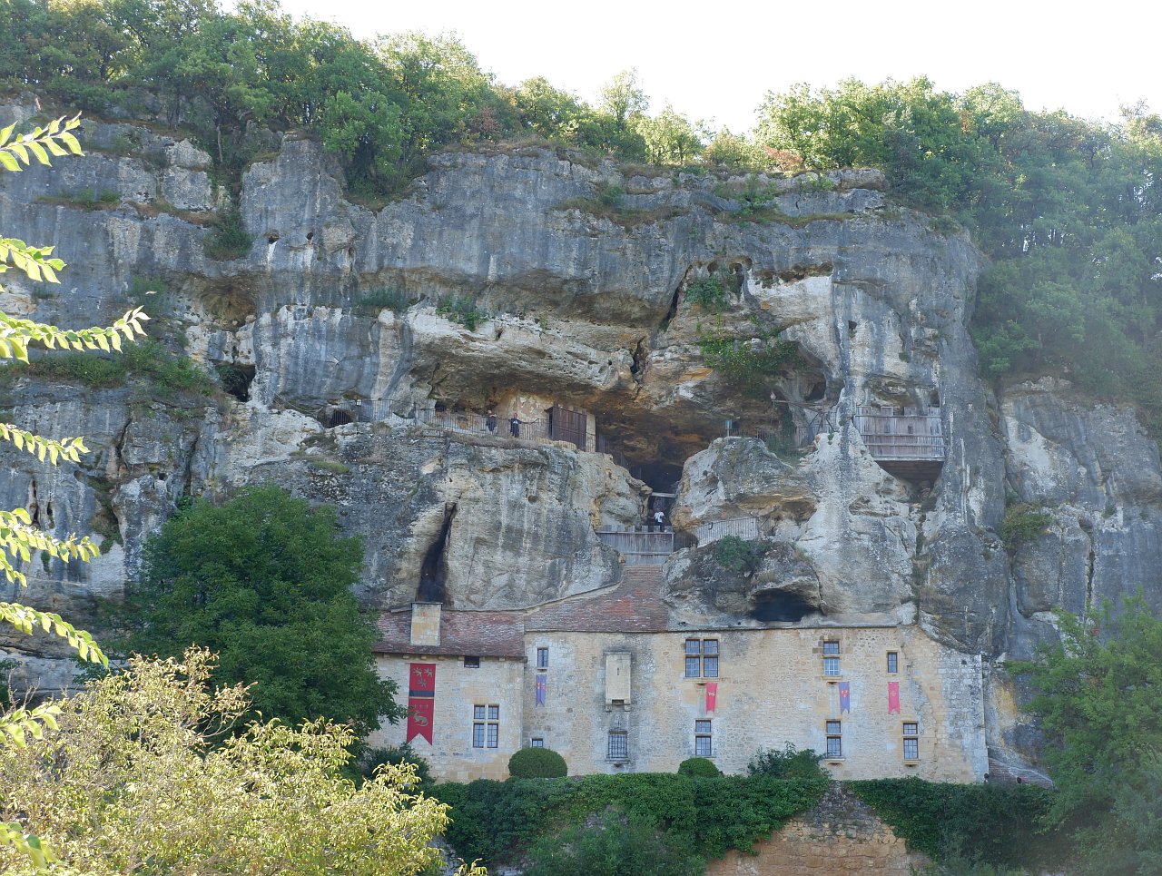 DSCF1063.jpg