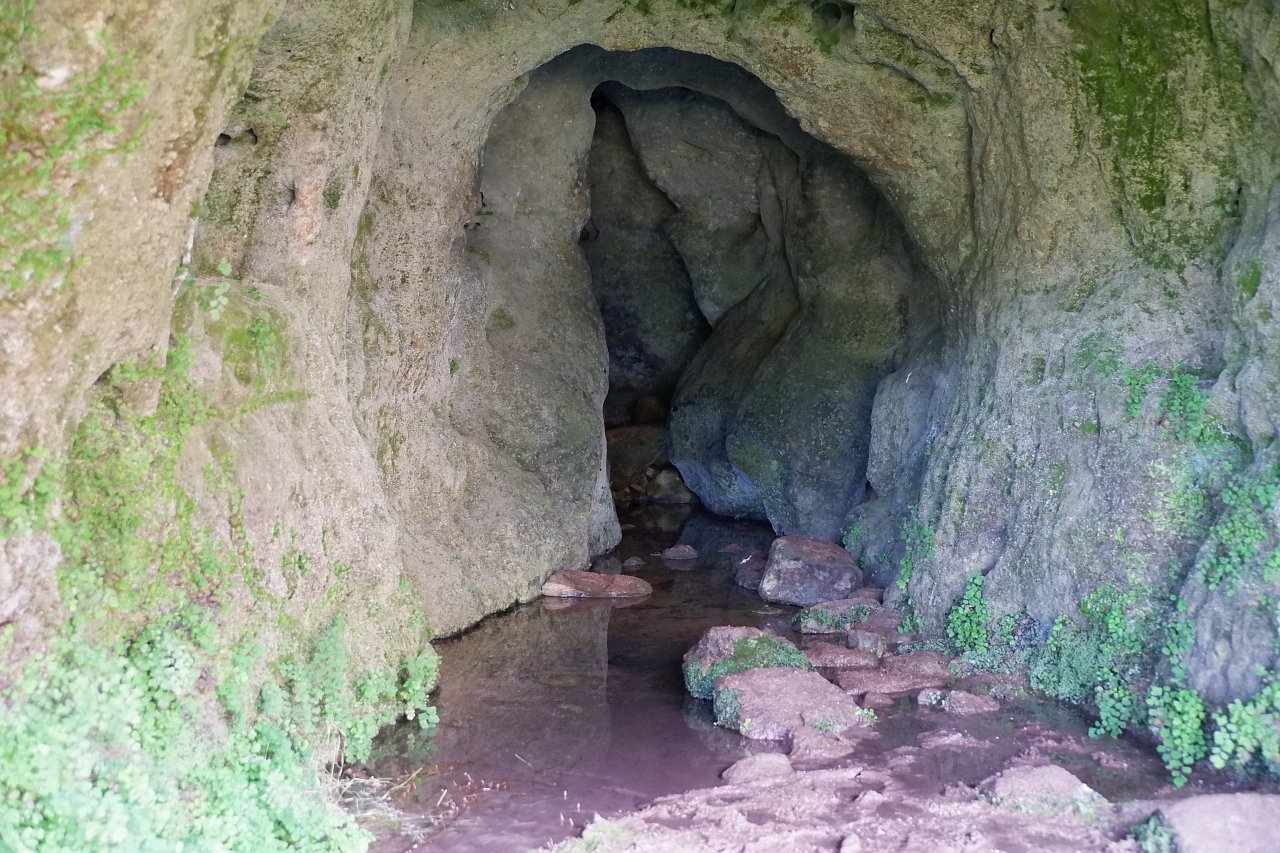 DSCF1077.jpg