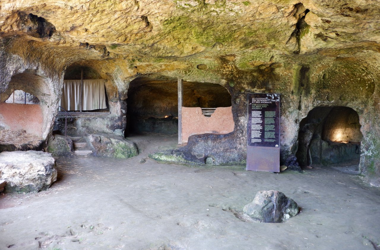 DSCF1089.jpg
