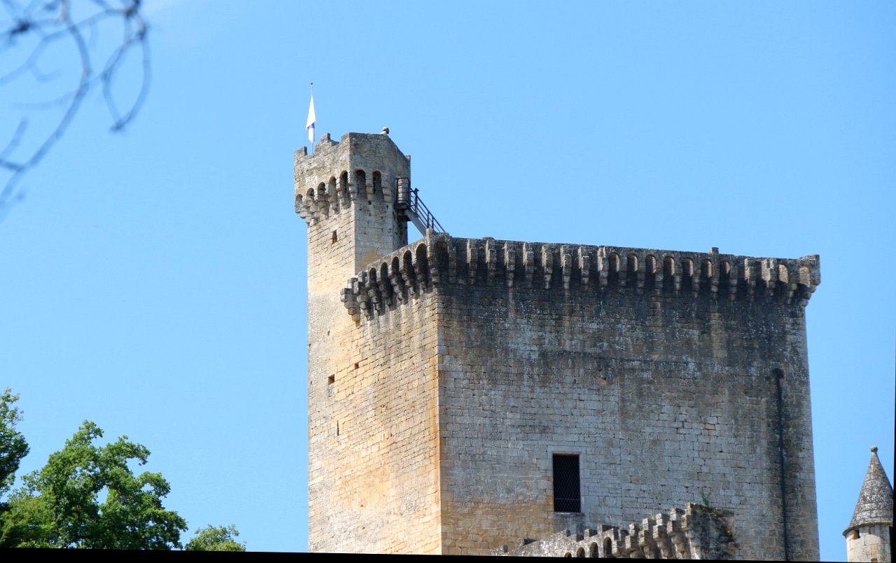 DSCF1114.jpg
