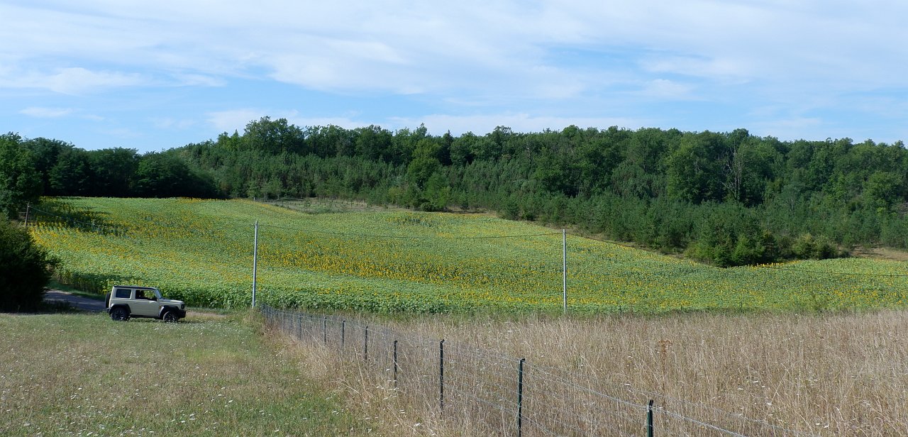 DSCF1139.jpg