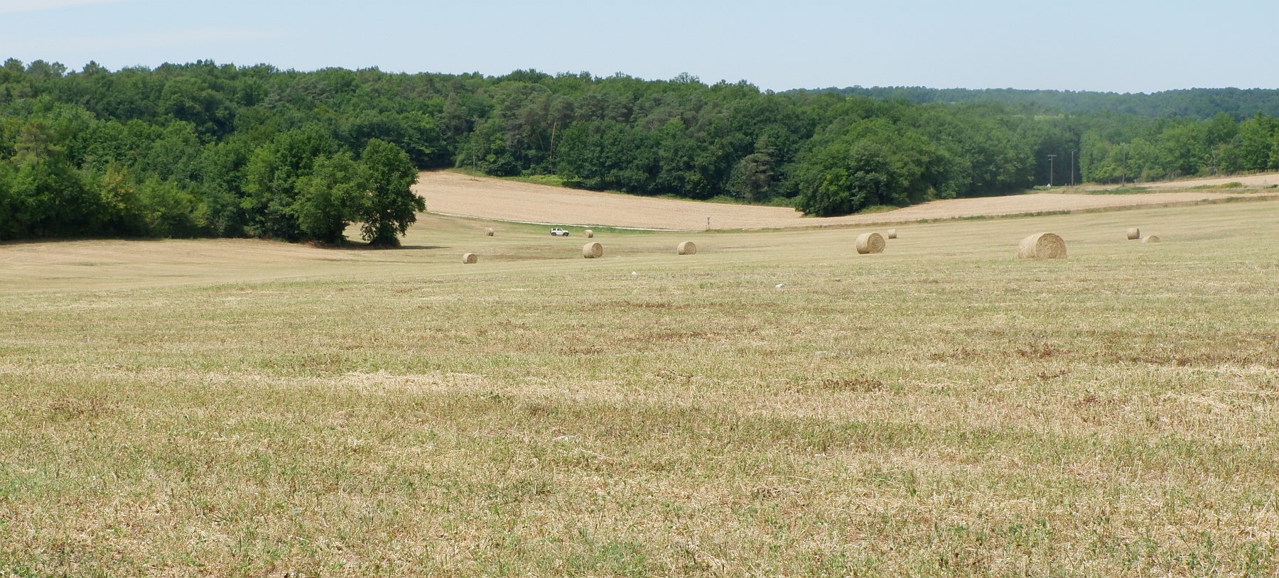 DSCF1154.jpg