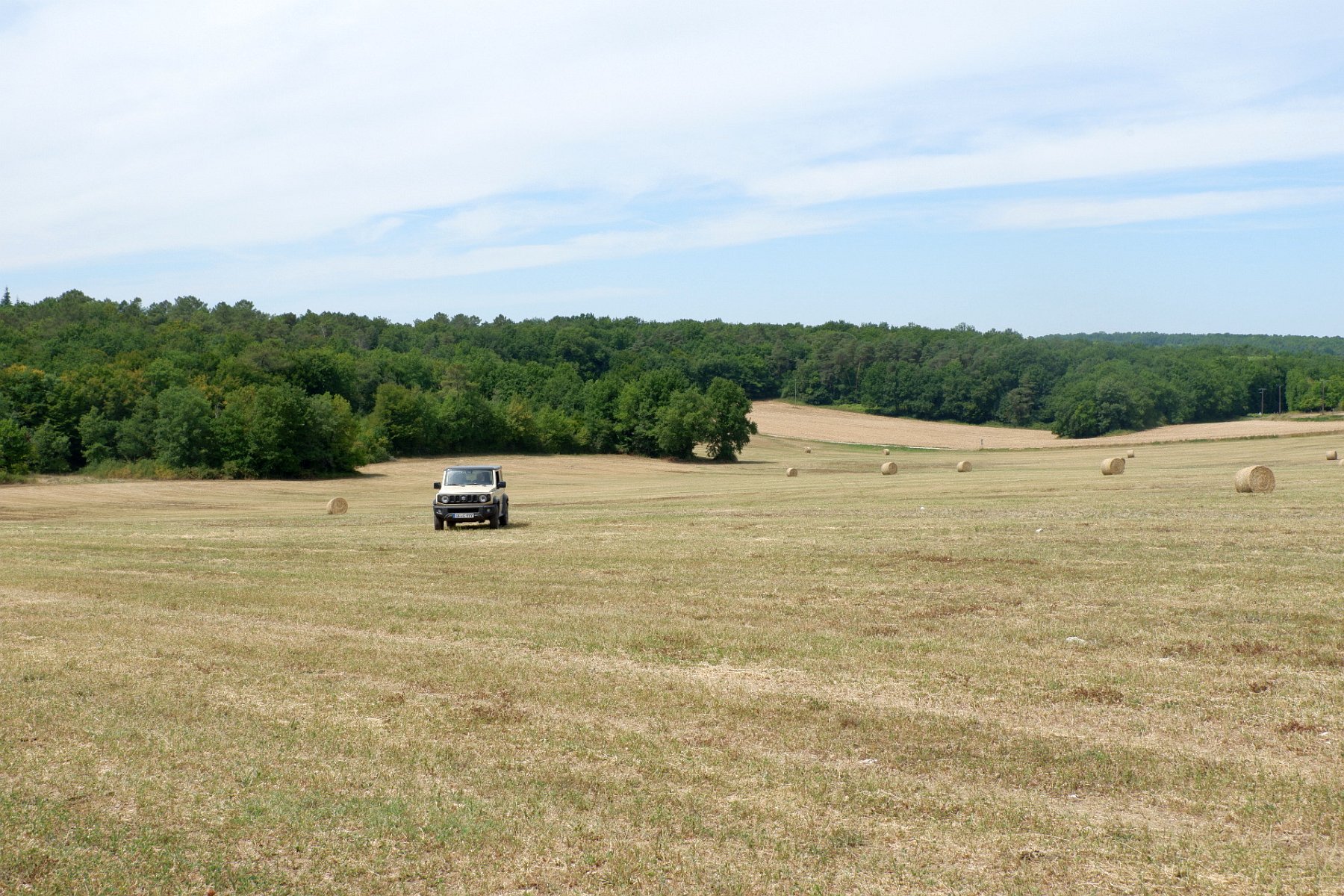 DSCF1168.jpg