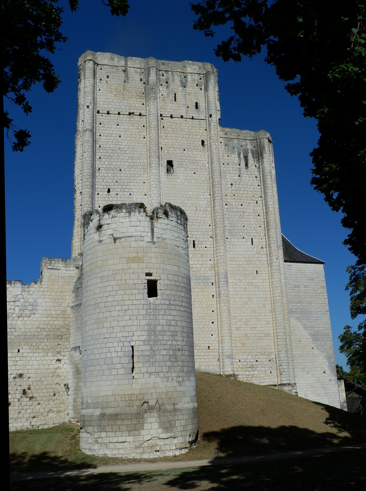 DSCF1212.jpg