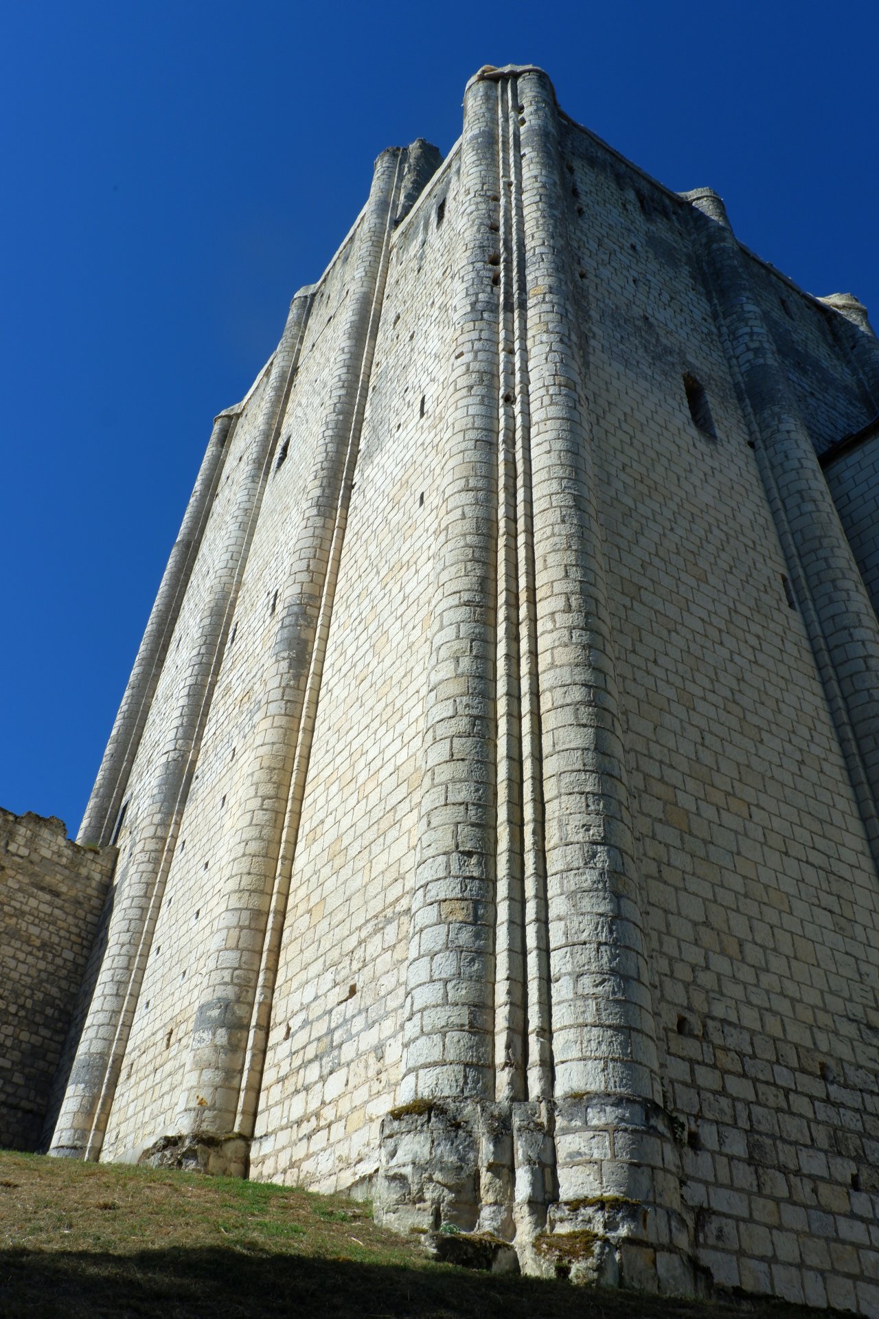 DSCF1220.jpg