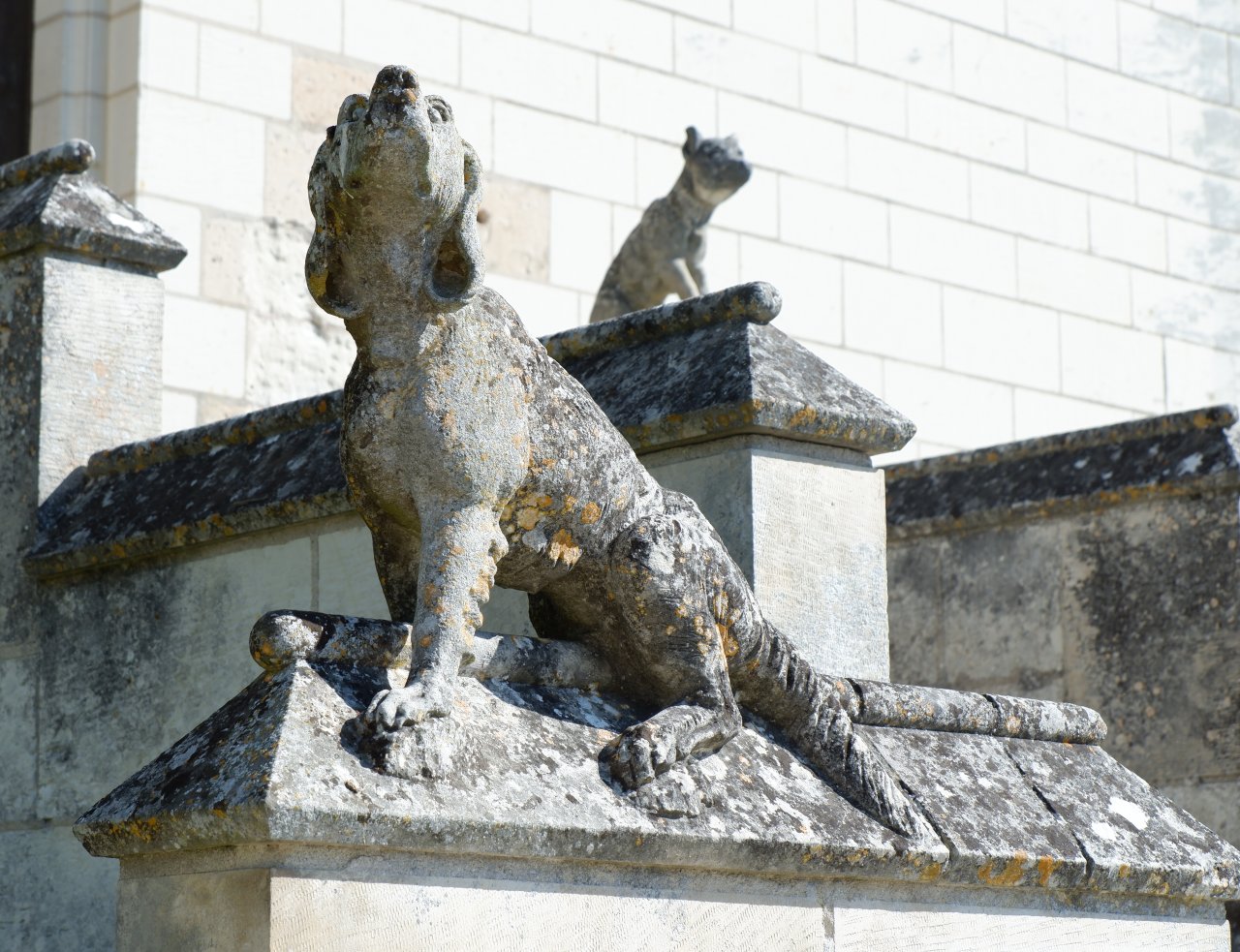 DSCF1231.jpg