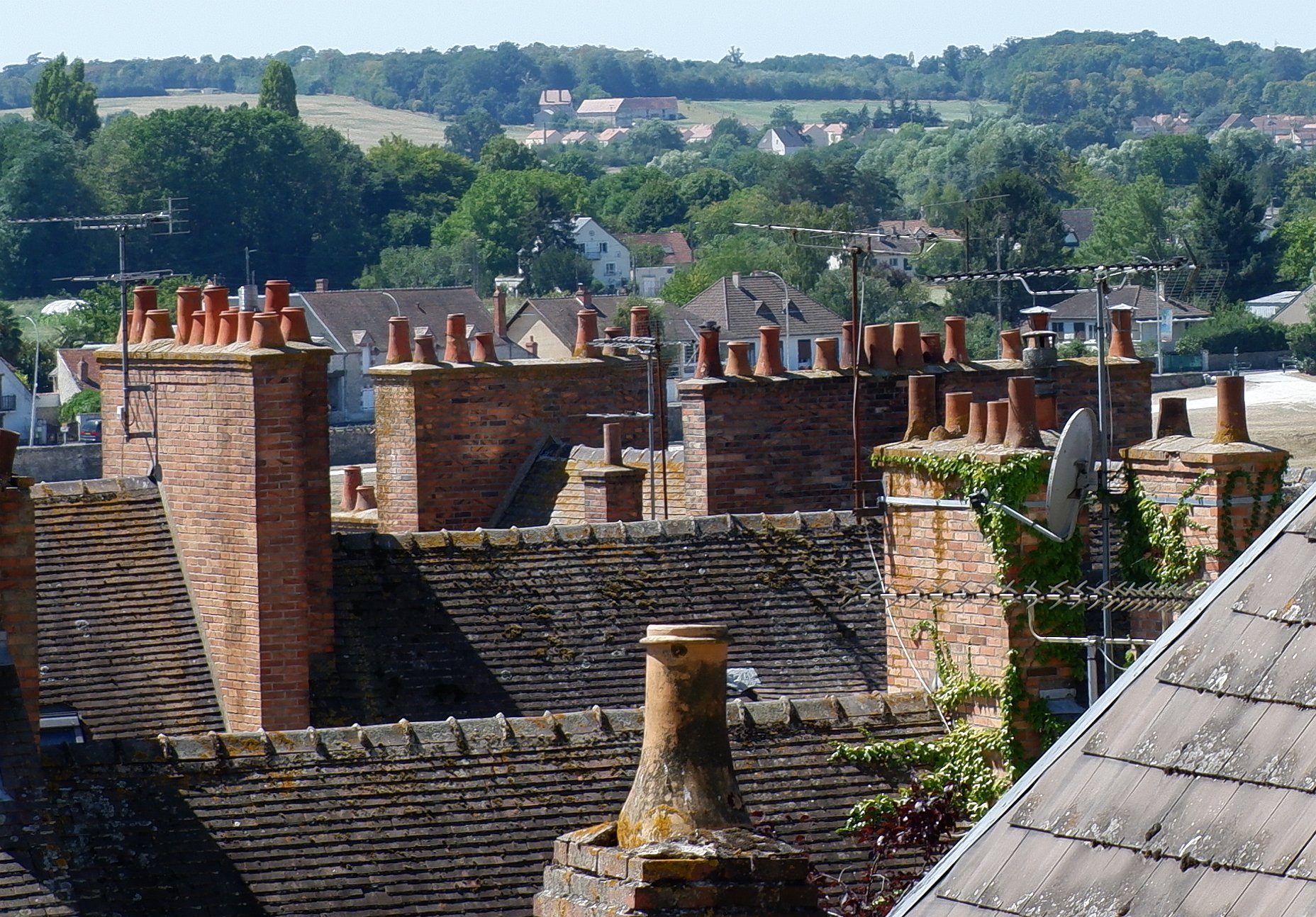 DSCF1495.jpg