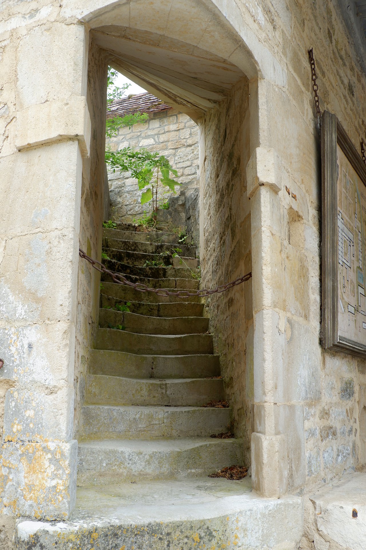 DSCF1584.jpg