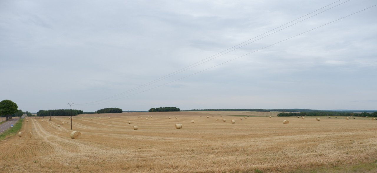 DSCF1592.jpg