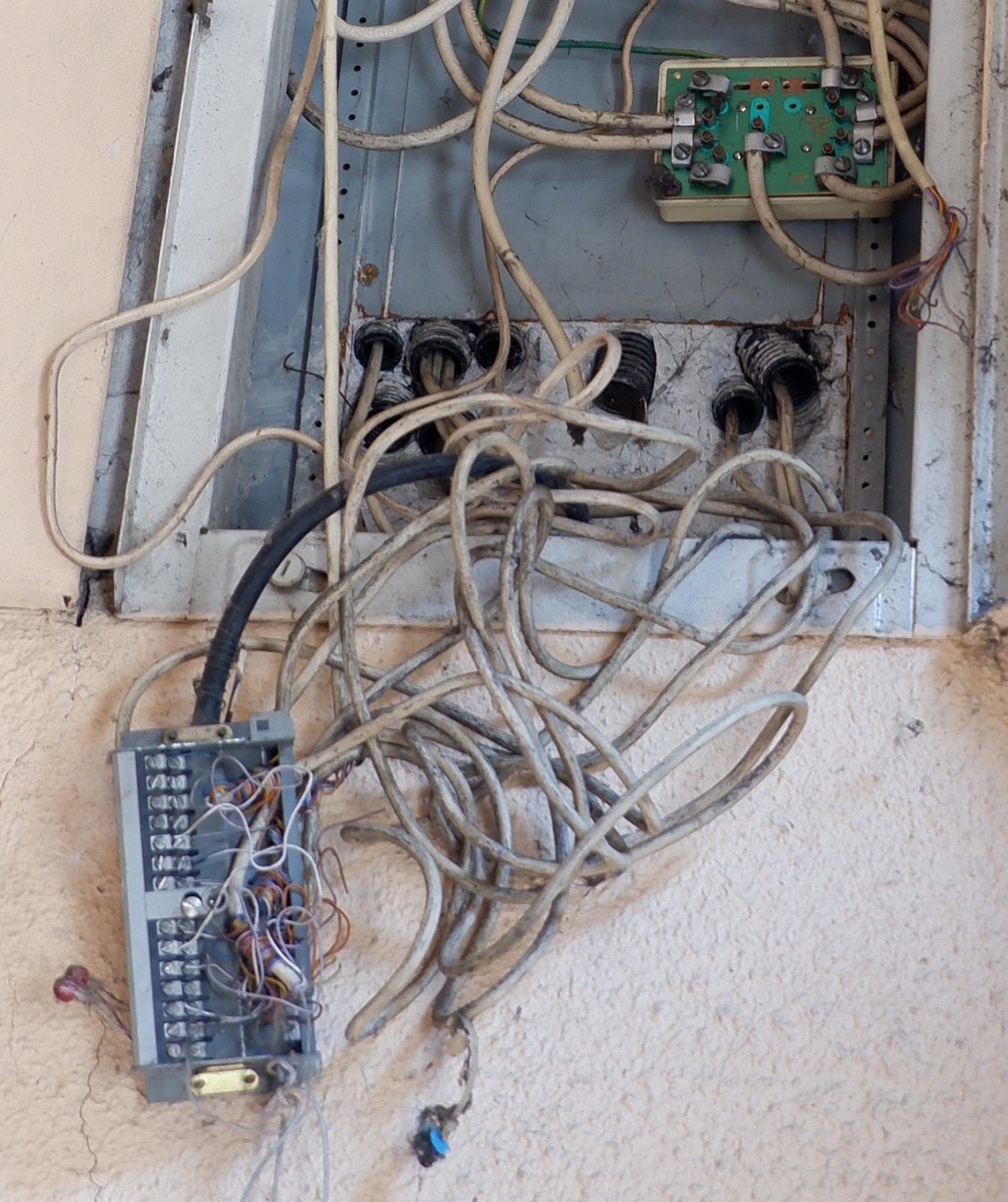DSCF1636.jpg