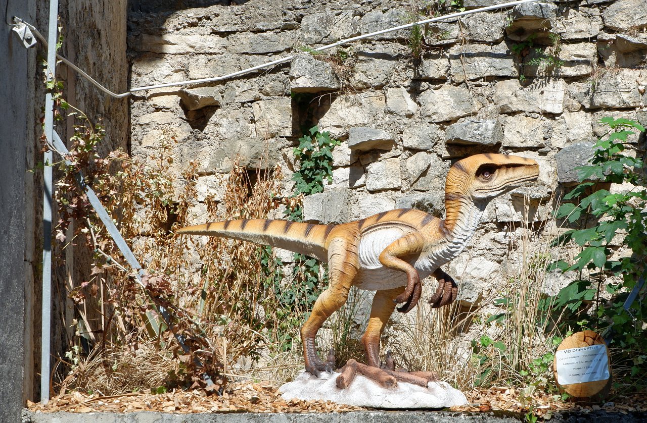 DSCF1638.jpg