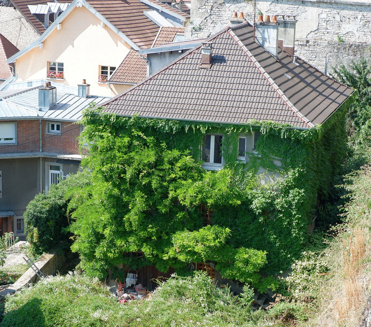 DSCF1643.jpg