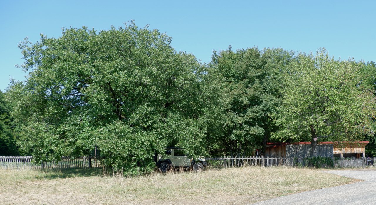 DSCF1648.jpg