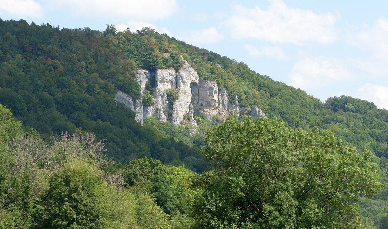 DSCF1656.jpg
