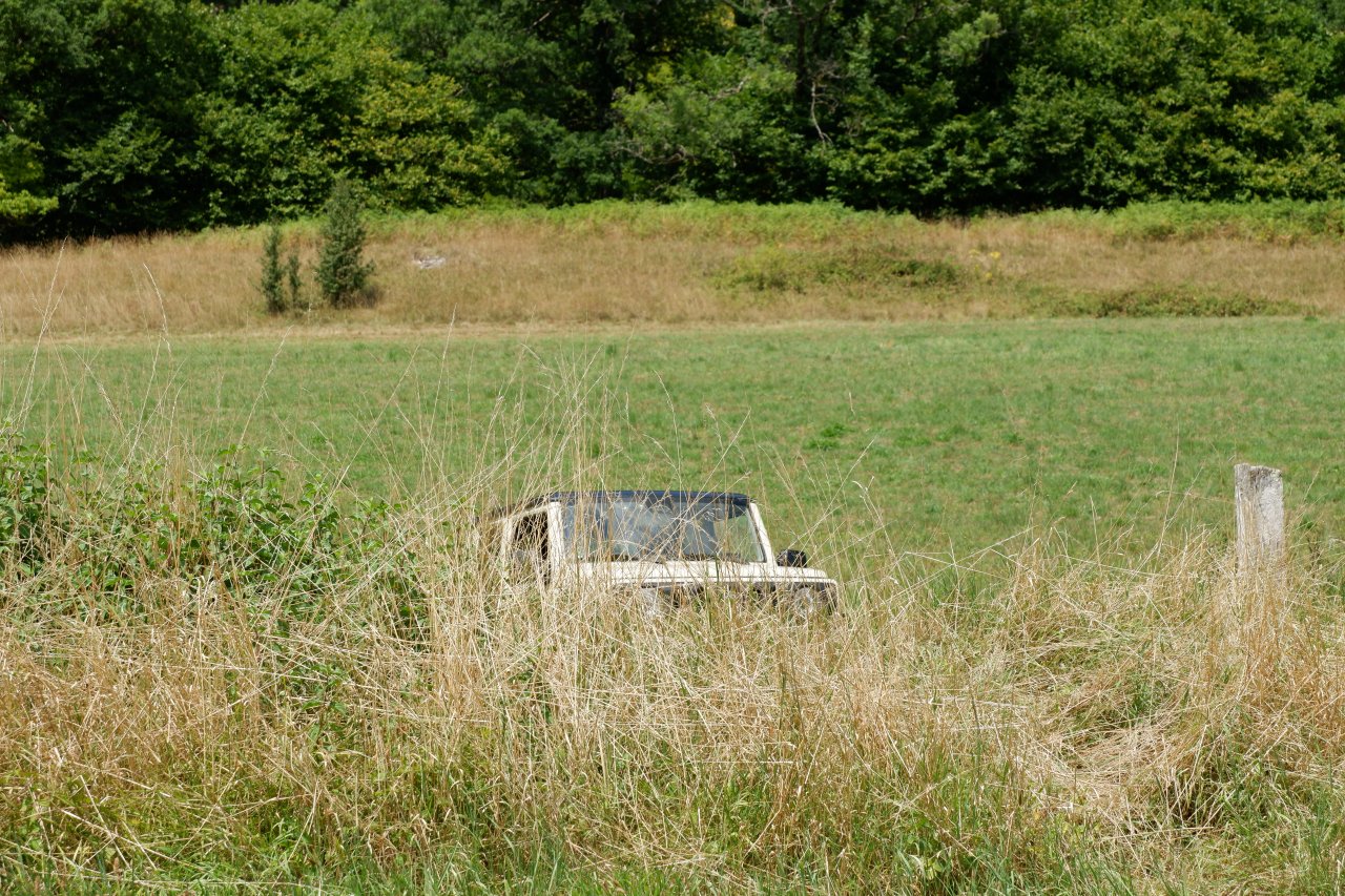 DSCF1659.jpg
