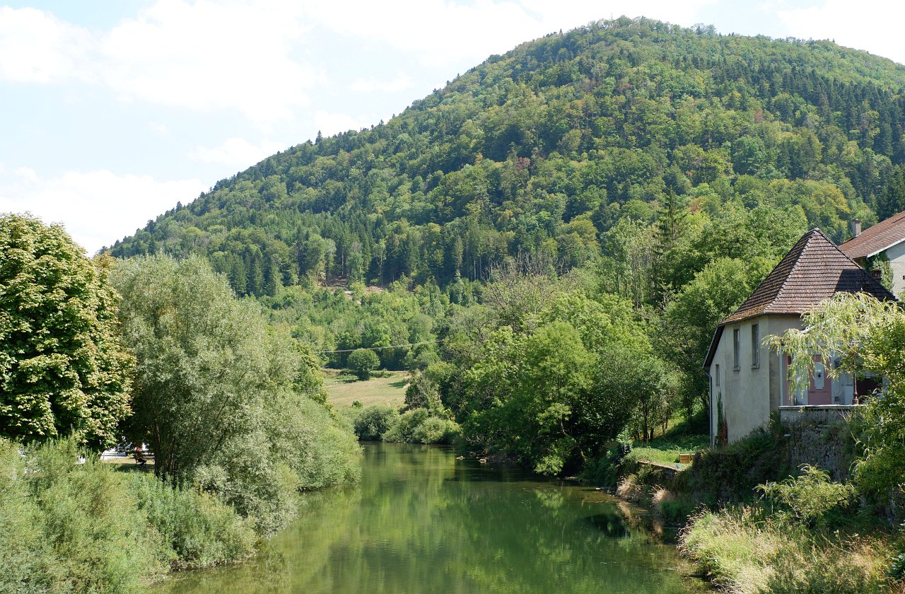 DSCF1664.jpg