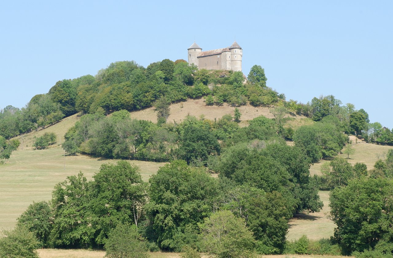 DSCF1666.jpg