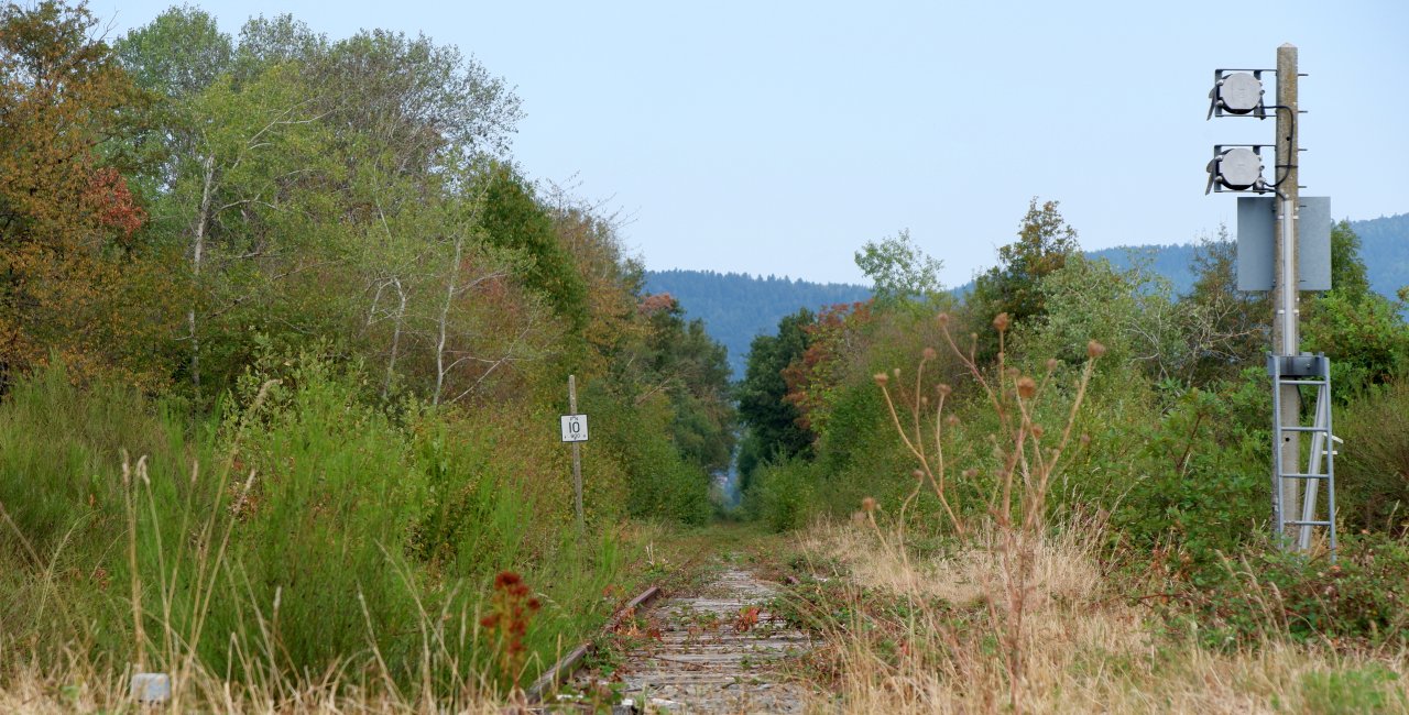 DSCF1714.jpg