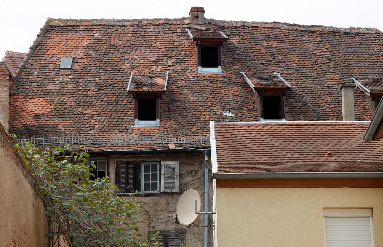 DSCF1736.jpg