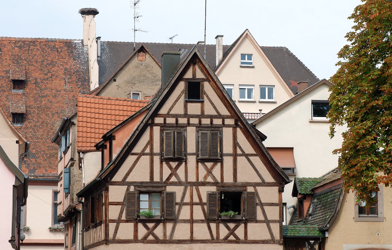 DSCF1738.jpg