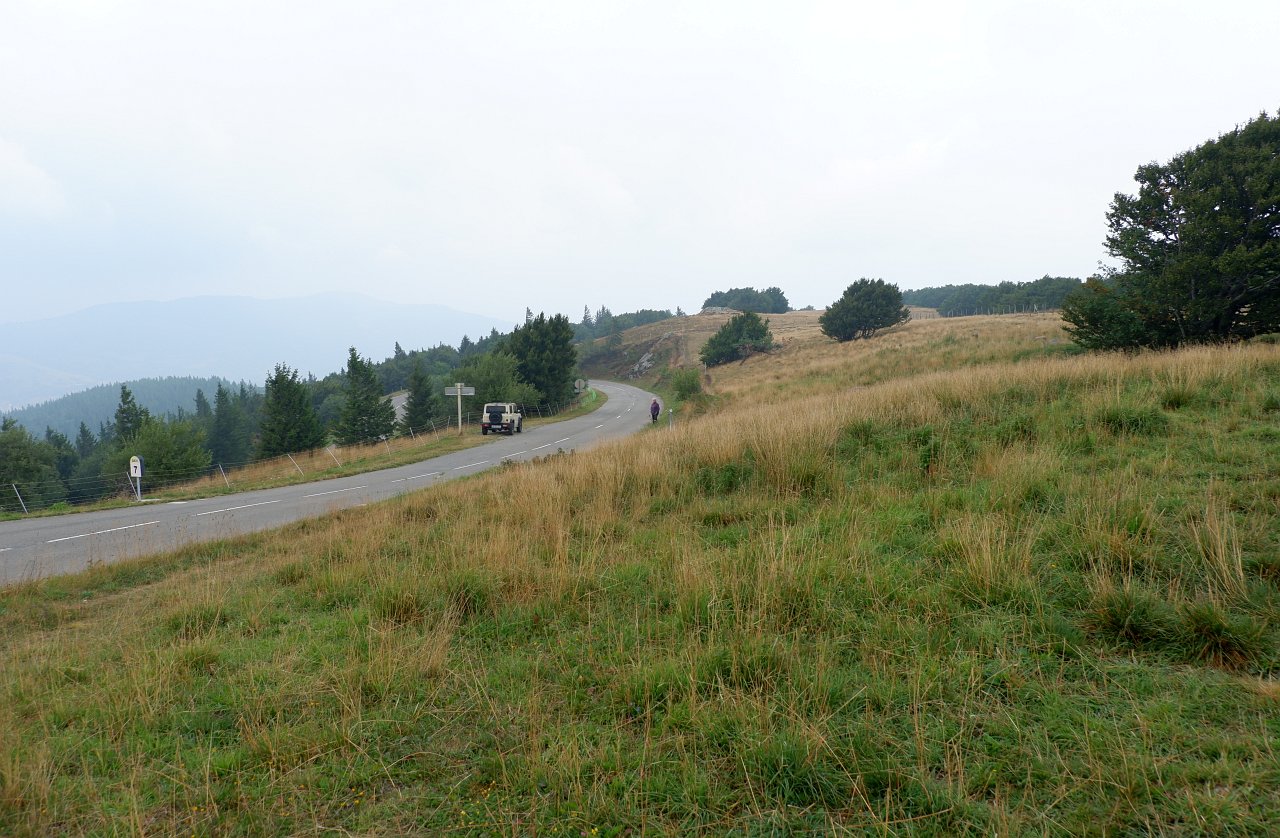C-DSCF1743.jpg