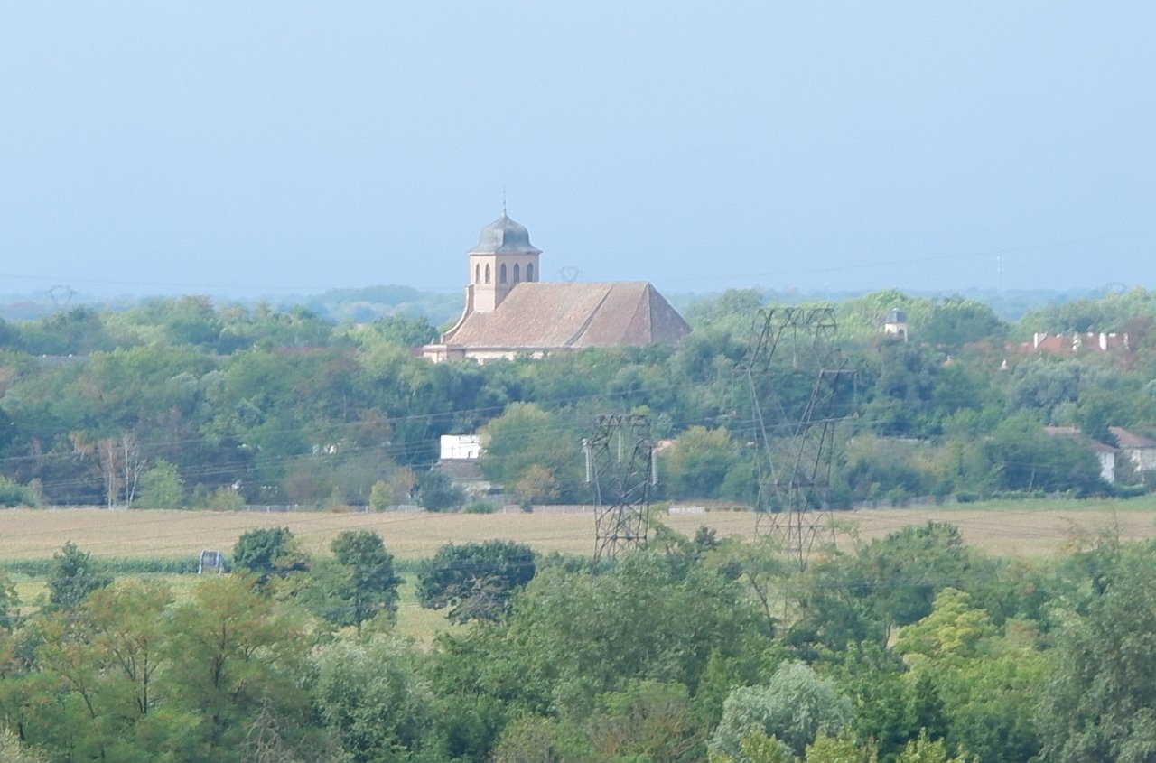 DSCF1797.jpg