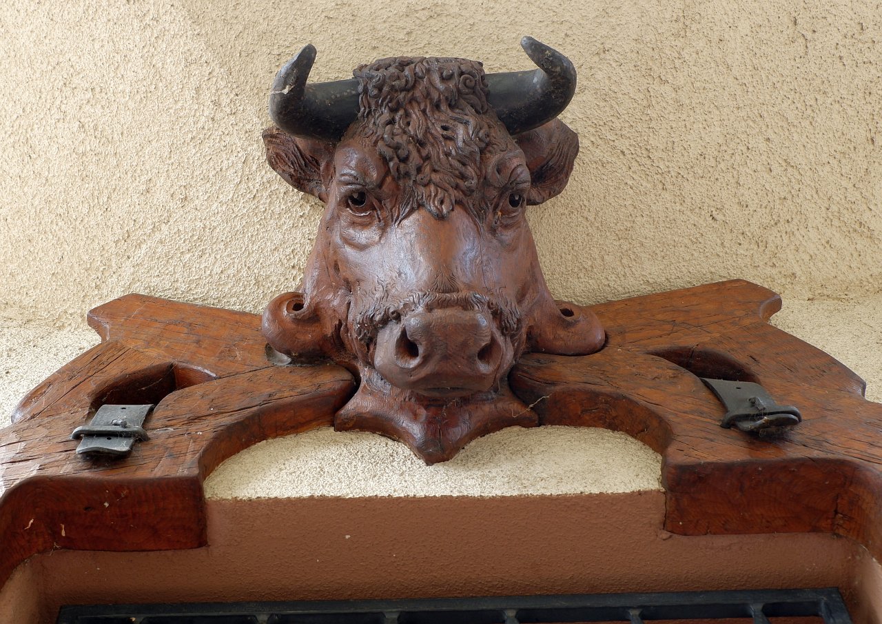 DSCF1806.jpg
